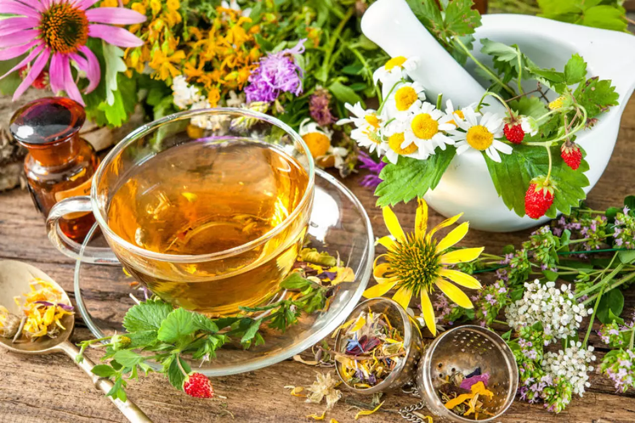 DOLORES MENSTRUALES: CALOR Y PLANTAS PARA UN ALIVIO NATURAL