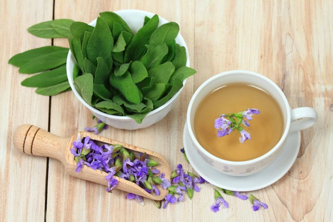 BENEFICIOS ADICIONALES DE LA SALVIA