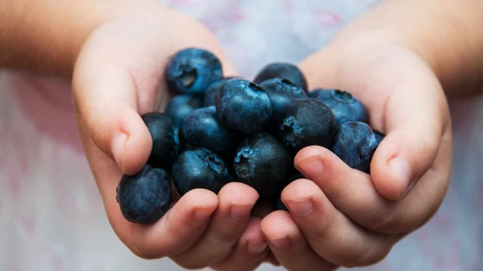 Un tesoro de antioxidantes