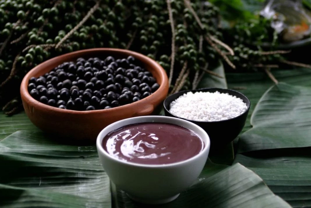 ORIGEN Y CARACTERÍSTICAS DEL AÇAÍ