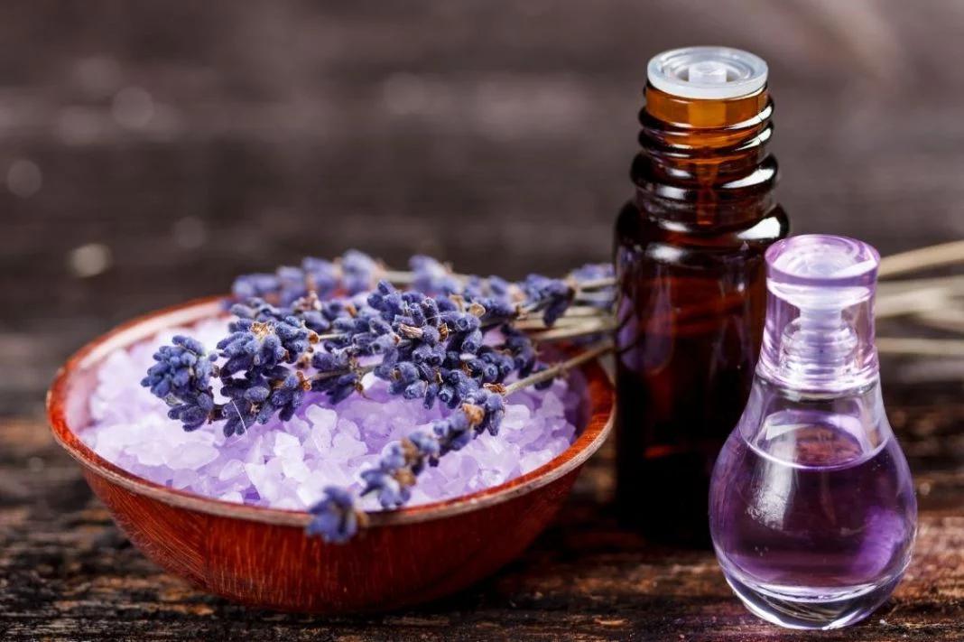 LAVANDA PARA PREVENIR MOSQUITOS 