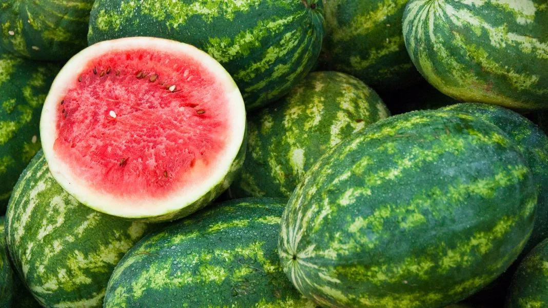 INGREDIENTES NECESARIOS PARA HACER UN HELADO DE SANDIA 