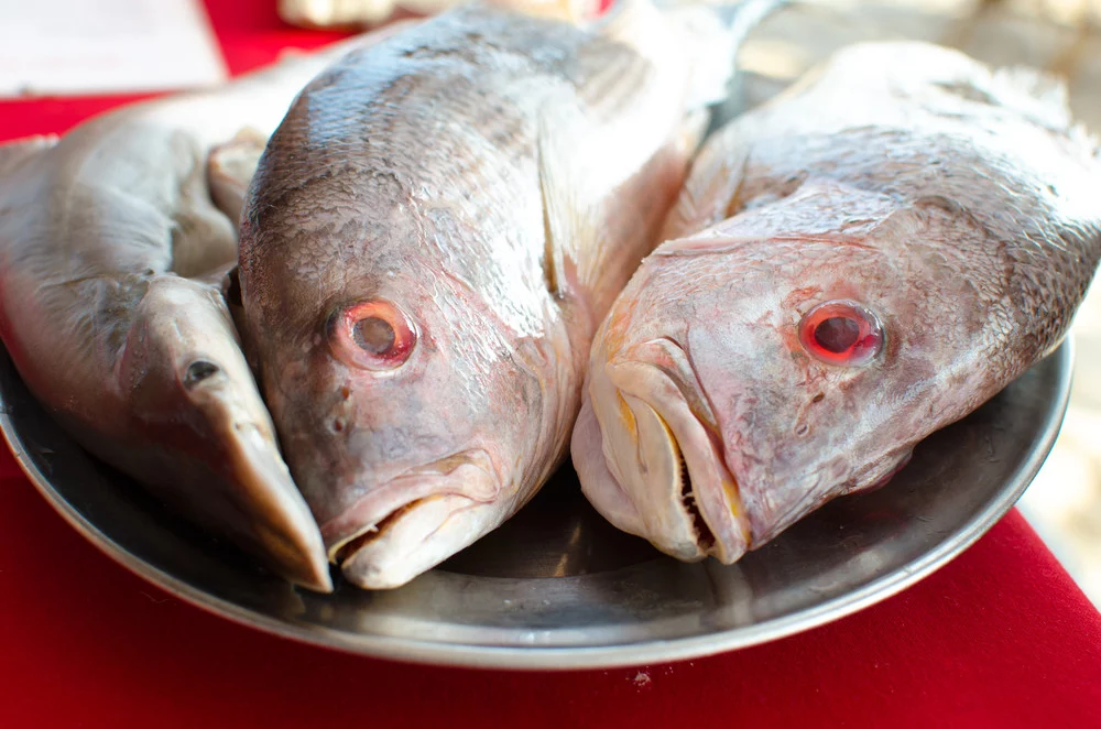 EL BLANQUILLO: DELICIA CULINARIA Y UNA PREOCUPACIÓN PARA LA SALUD