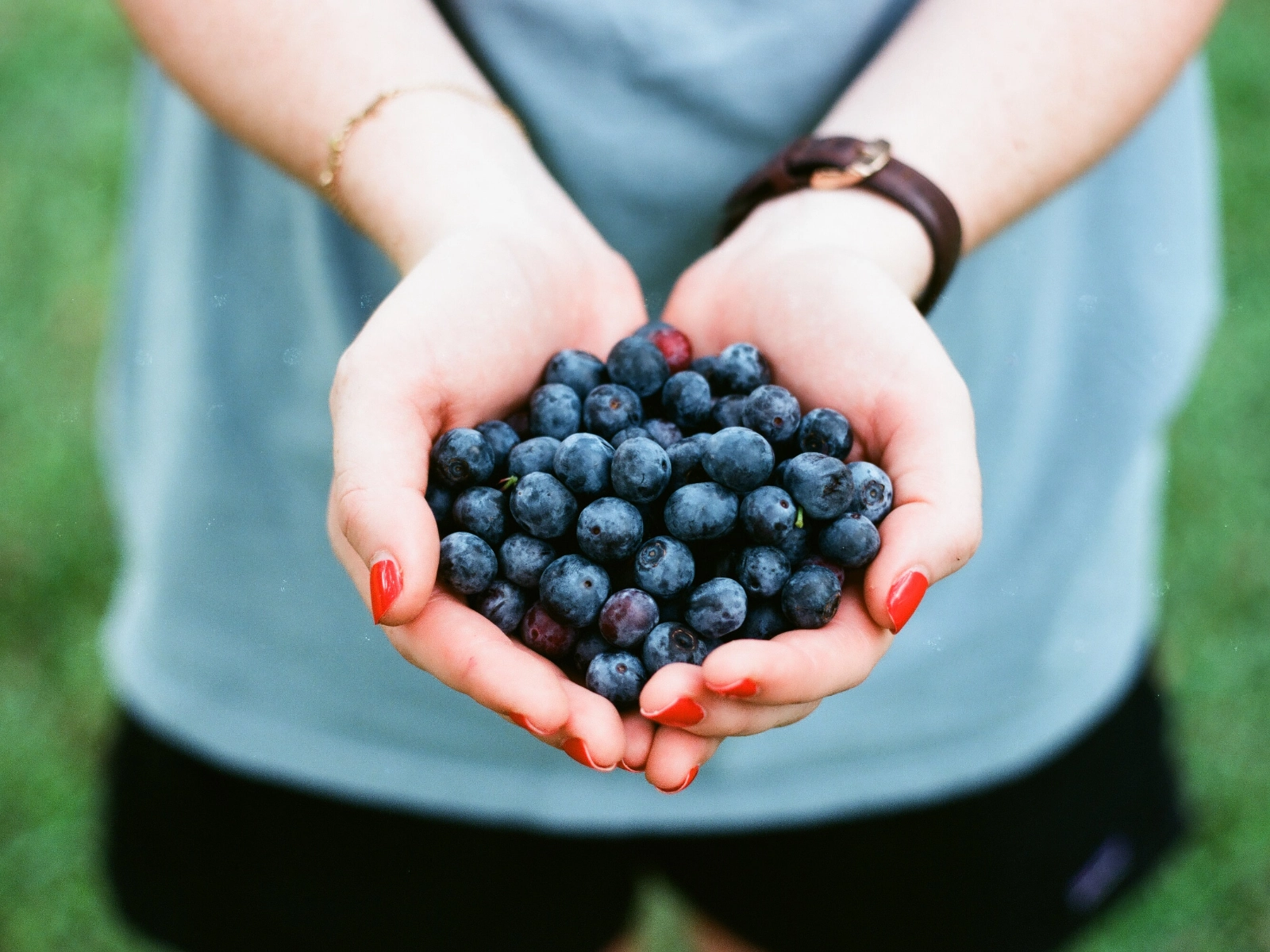 LOS ARÁNDANOS Y SU COMPOSICIÓN NUTRICIONAL