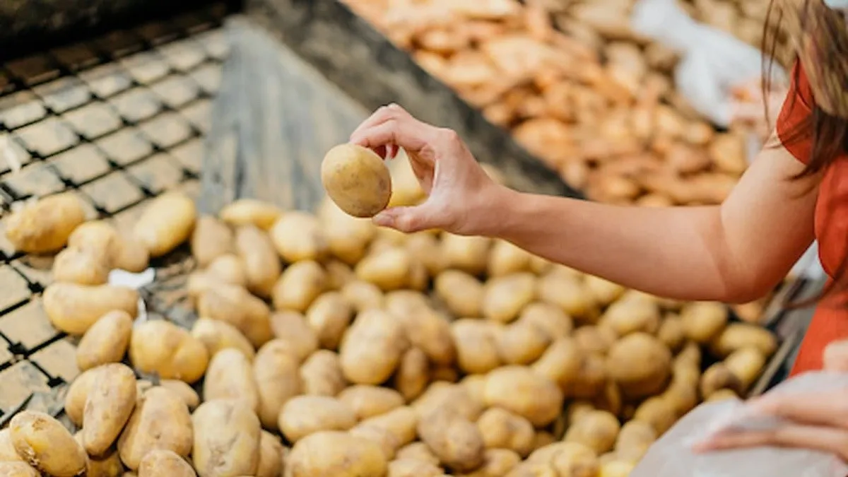 ALMACENAMIENTO EN FRÍO: MITOS Y REALIDADES SOBRE LA CONSERVACIÓN