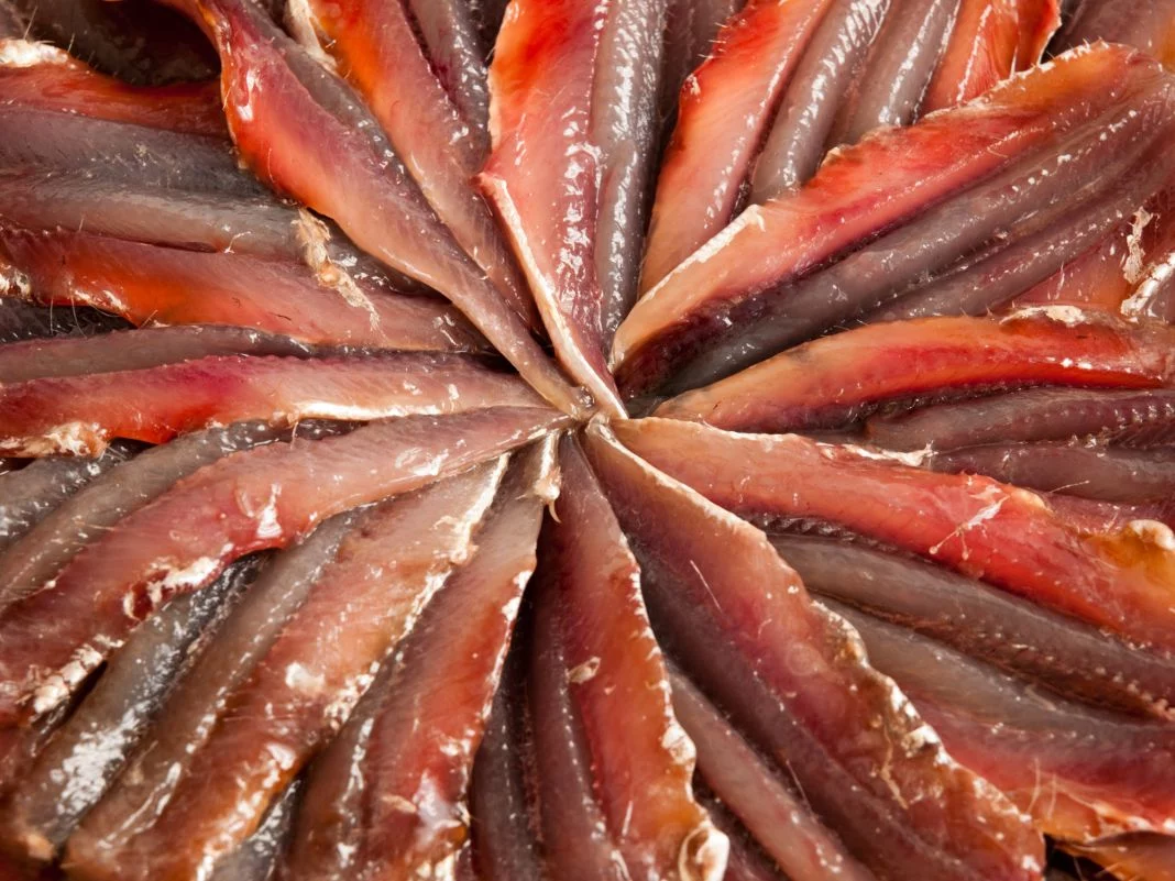 ANCHOA: UNA OPCIÓN SOSTENIBLE Y DELICIOSA