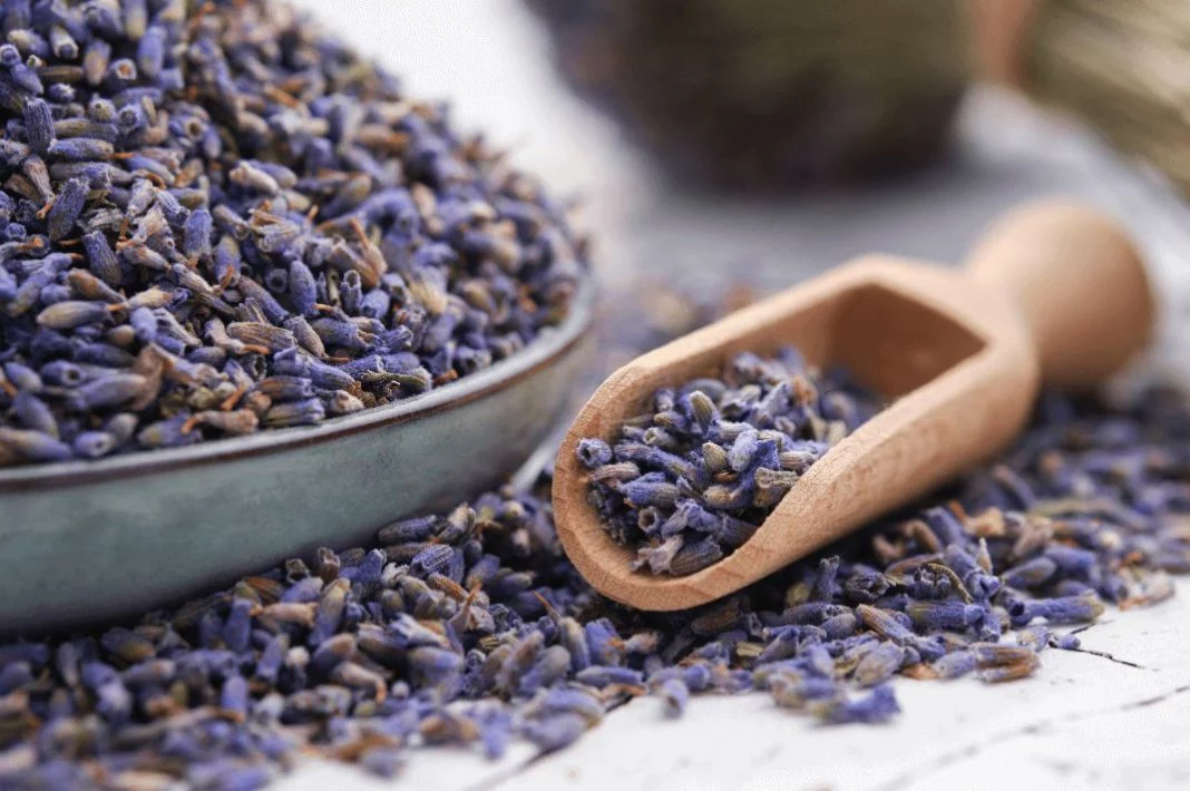 LA LAVANDA: UN TOQUE AROMÁTICO CON PROPIEDADES RELAJANTES