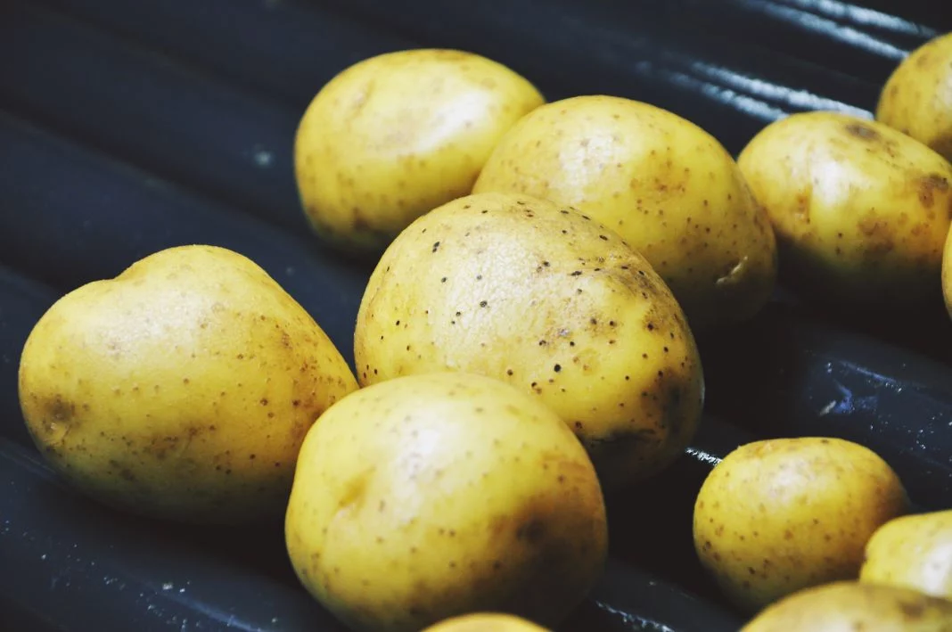 2. PATATAS: UN ALIMENTO QUE NO DEBE REFRIGERARSE