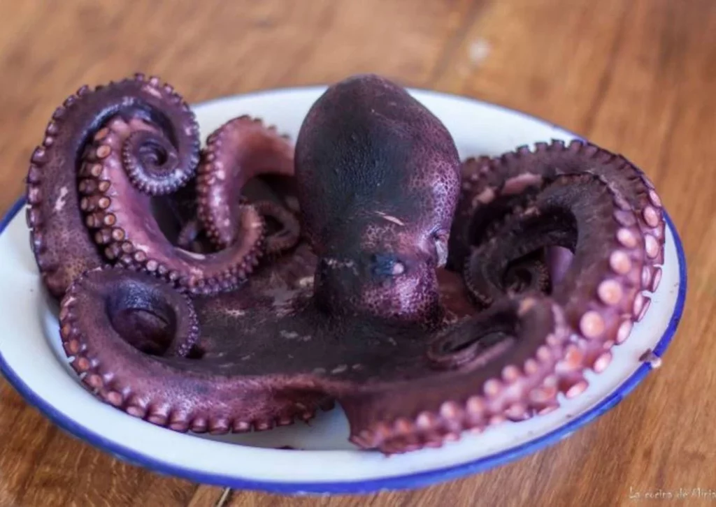 LA INFLUENCIA DE LA CULTURA EN LA COCINA DEL PULPO