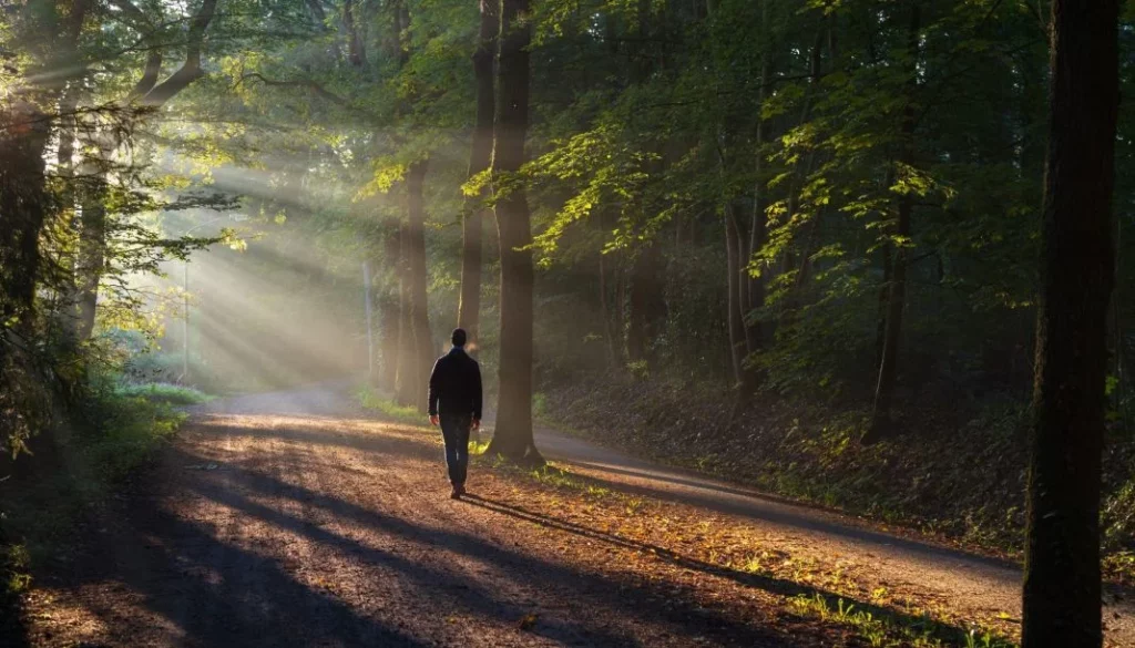 EL MINDFUL WALKING NIGHT: UNA OPORTUNIDAD PARA MEJORAR TU SALUD