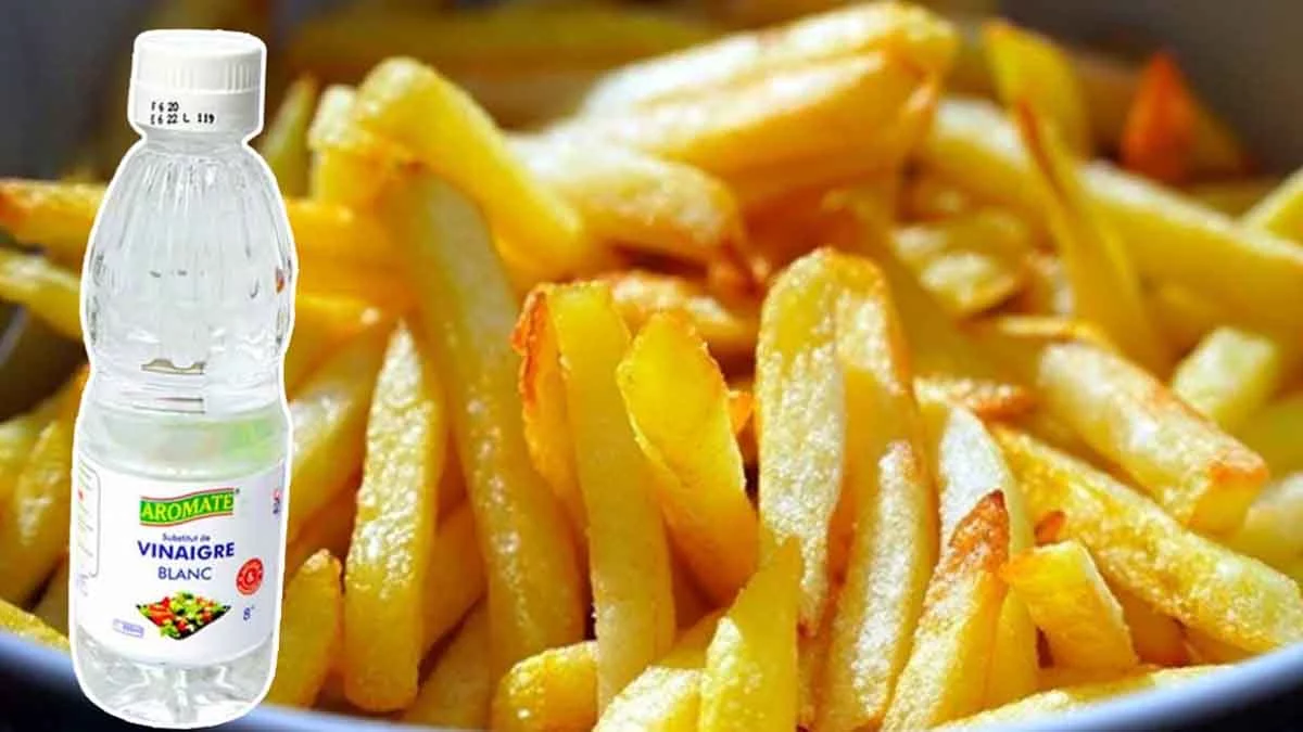 VARIEDADES DE VINAGRE: ¿CUÁL ES EL MEJOR PARA LAS PATATAS FRITAS?