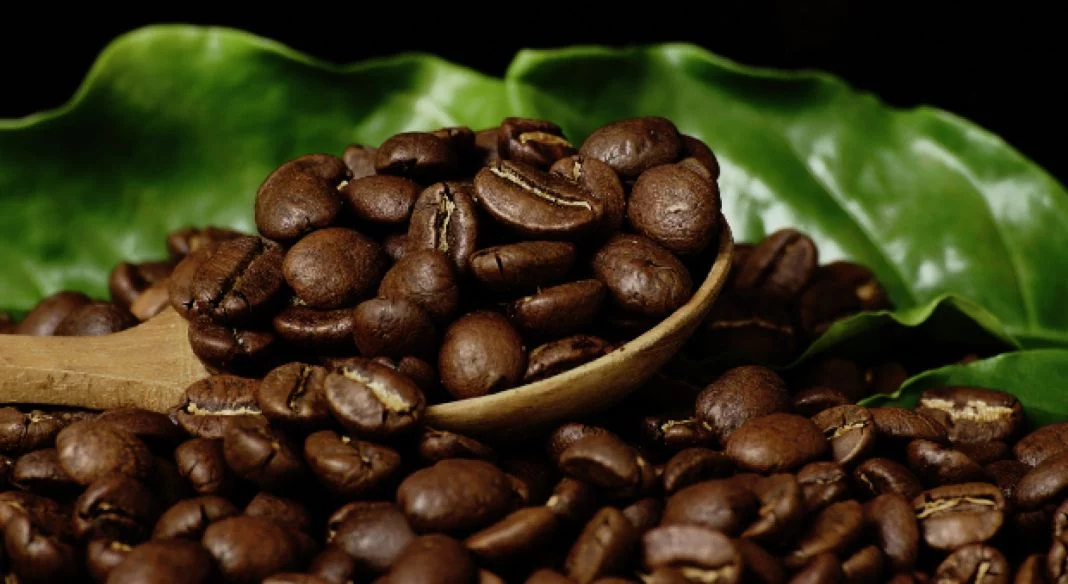 ¿CÓMO PREPARAR EL CAFÉ CON CANELA Y JENGIBRE?