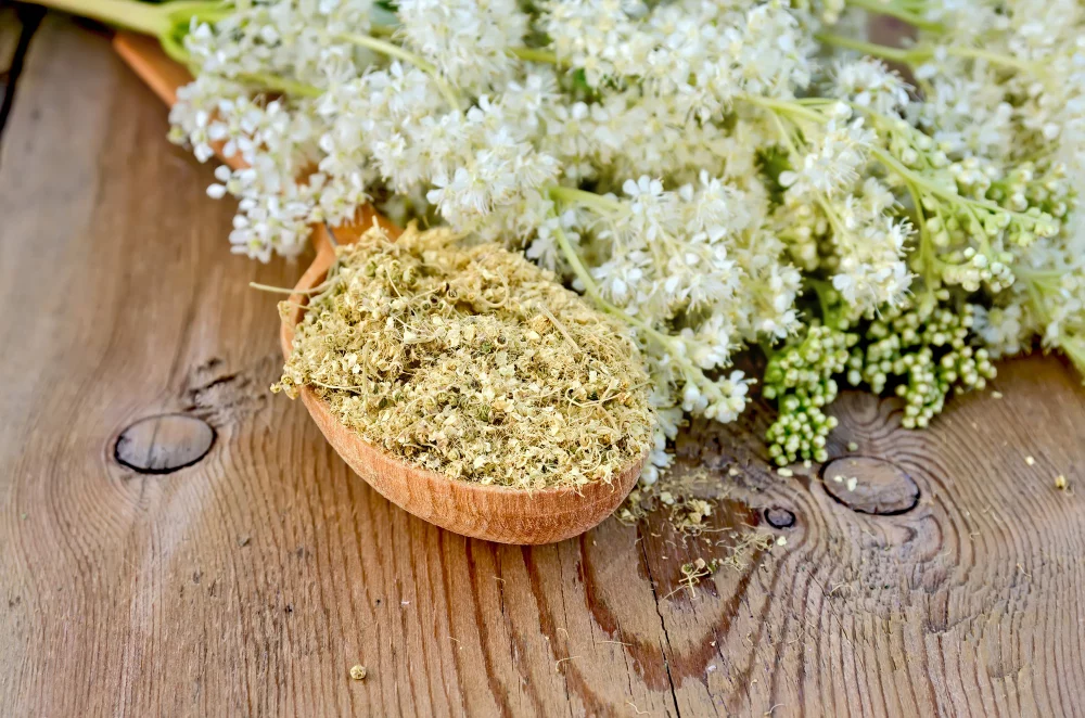 CÓMO PREPARAR UNA INFUSIÓN DE FLOR DE SAUCO PERFECTA