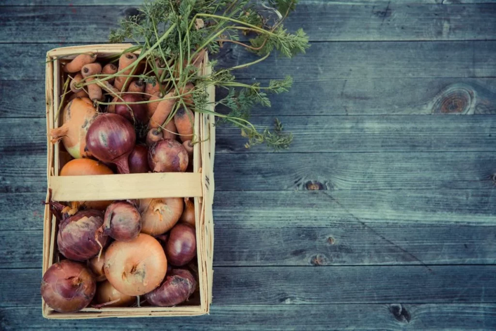 UNA FUENTE PODEROSA DE ANTIOXIDANTES