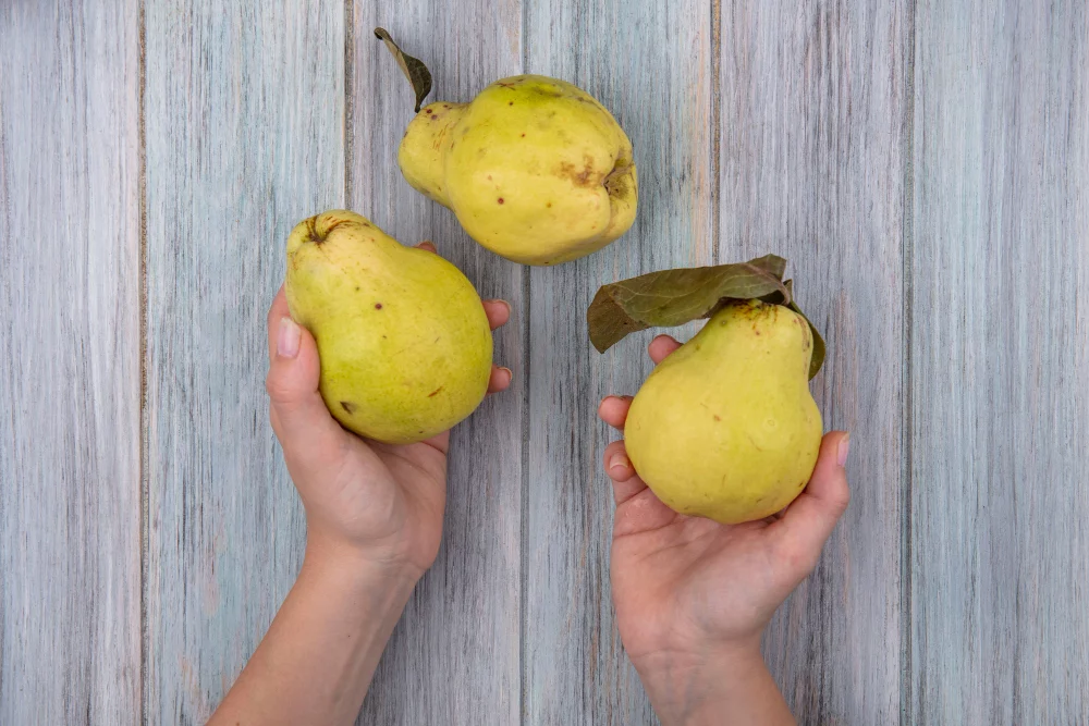 CÓMO INCLUIR LA GUAYABA EN TU DIETA DIARIA